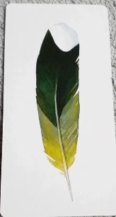 Divine Feather Messenger
